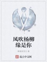 风吹扬柳是什么歌