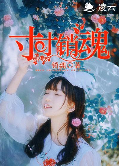 寸寸销魂何生祥全本免费