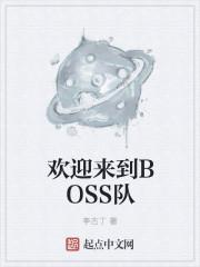 欢迎来到BOSS队txt