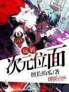 玩转次元位面end