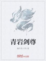 青岩全文阅读