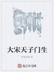 大宋天子电视剧