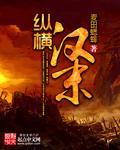 汉代纵横家