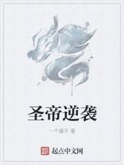 圣道帝诀