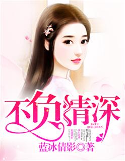 不负情深简介