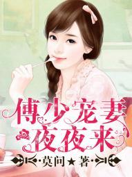 傅少宠妻
