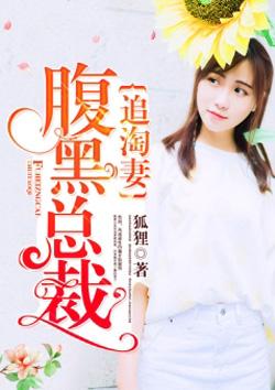 腹黑总裁追妻路