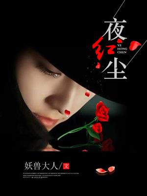 夜红尘全部歌词